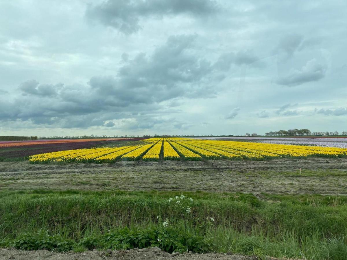 Krabbenkreek 2 Villa Sint Annaland Exteriör bild