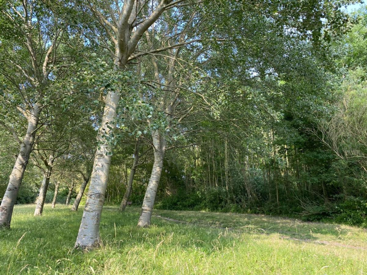 Krabbenkreek 2 Villa Sint Annaland Exteriör bild