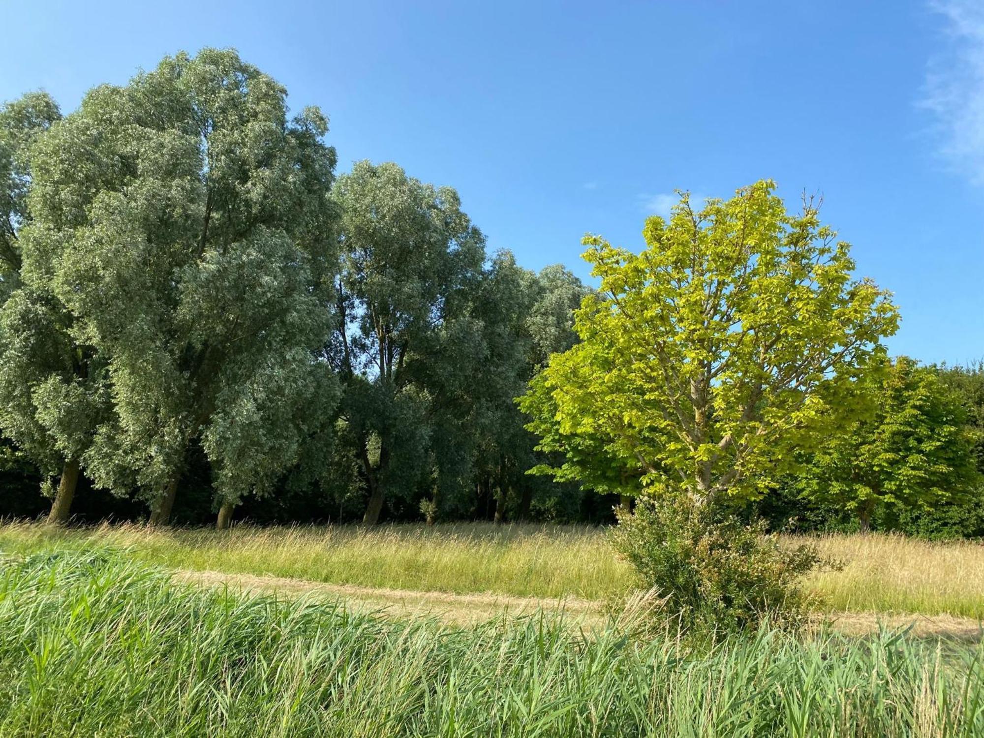 Krabbenkreek 2 Villa Sint Annaland Exteriör bild