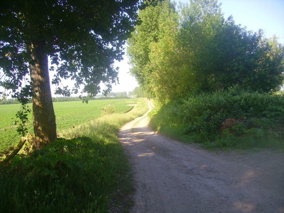 Krabbenkreek 2 Villa Sint Annaland Exteriör bild